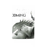 Чашка хамелеон Гра Престолів Winter Is Coming 330 мл BestSeller (LB-30074), фото 4