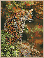 Взгляд леопарда Набор для вышивания крестом с печатью на ткани NKF D 7732