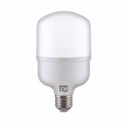 Лампа Світлодіодна "TORCH-20" 20 W 6400 K E27