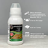 Гербіцид Дикамба Форте 100 мл Сімейний Сад, фото 2