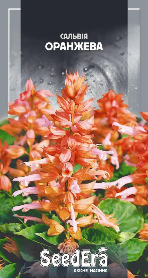 Насіння Сальвія Блискуча Оранжева, 0,1 г, Seedera