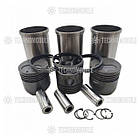 Поршневий комплект YD385BT/Y385BT, фото 2