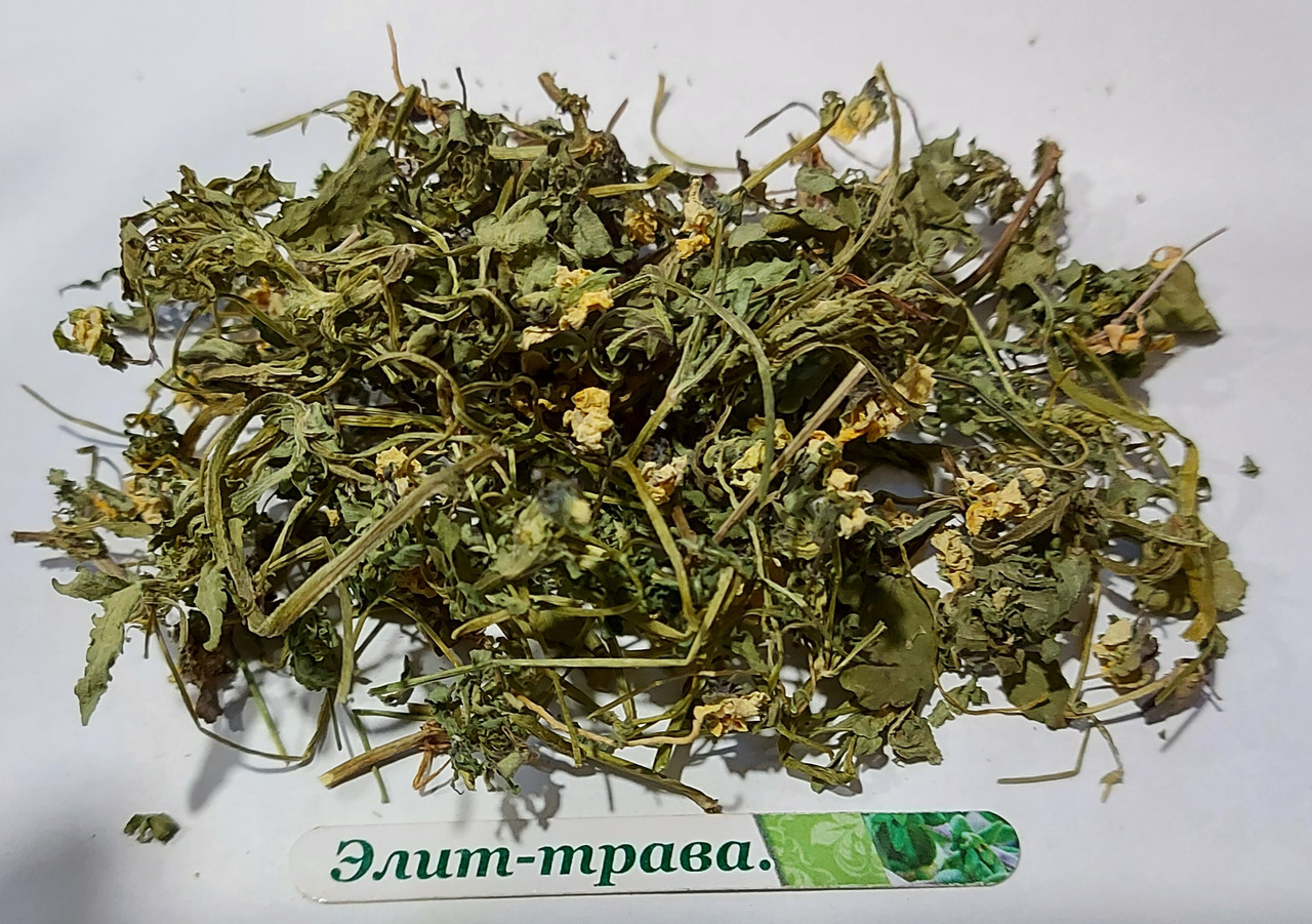 Фіалка триколірна трава (польова) 100 грамм