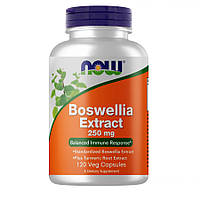 Натуральная добавка NOW Boswellia Extract 250 mg, 120 вегакапсул