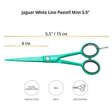 Ножиці для стриження JAGUAR White Line Pastell plus Mint. Довжина 5.50 дюйма