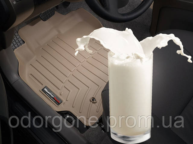 Як вивести запах розлитого молока із салону автомобіля?