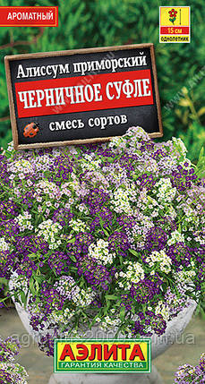 Насіння Алісум однорічний Чорничний Суфле суміш 0,1 грама Аеліта, фото 1