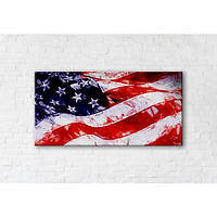Картина на холсте Usa Flag 60x120см (GT5589_312286)