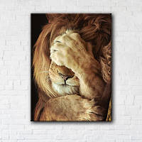 Картина на холсте Sleepy Lion 45x60см (GT5589_313866)