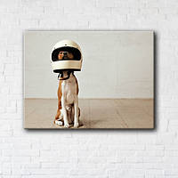 Картина на холсте Dog astronaut 45x60см (GT5589_313876)