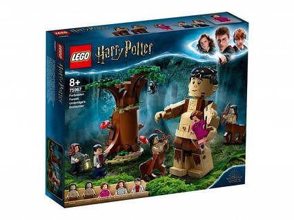 Конструктор LEGO Harry Potter Заборонений ліс Зустріч Амбридж (75967)