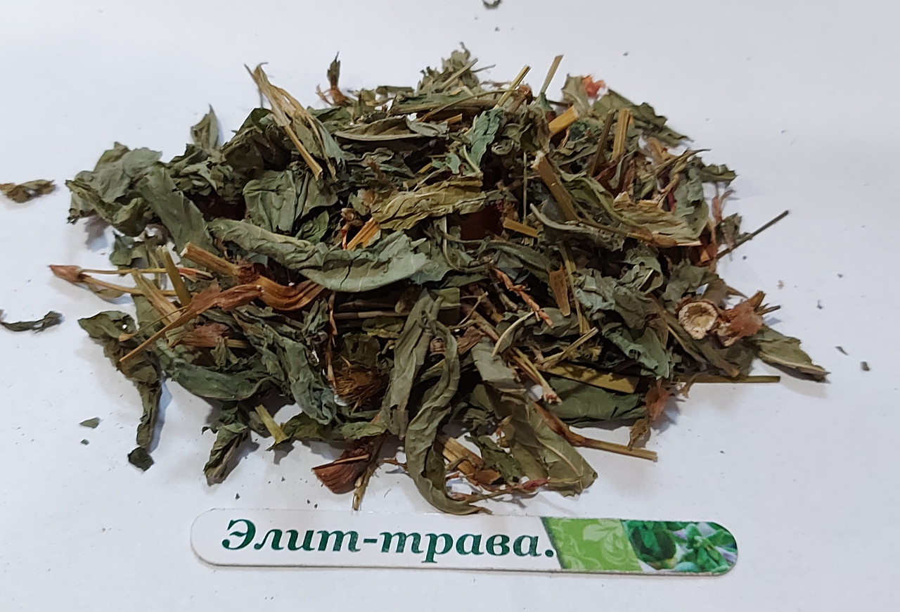Горець перцевий трава (водяний перець) 100 грам