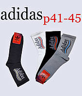 Чоловічі шкарпетки SPORT бавовна Адідас