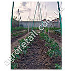 Опора для рослин 8 мм 1 м Light green, фото 7