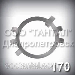 Шайба 170 ГОСТ 11872-89 стопорна багатолапчаста оцинкована