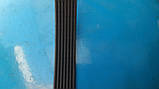 Ремінь ручейковий 7PJ 522 Pix для бетономішалки, газонокосарки, мотоблоки тощо, фото 2