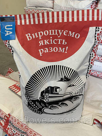 Насіння соняшника Нова-Альє під євролайтинг 23 роки, фото 1