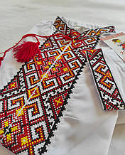 Вишиванка дитяча для хлопчика "Філіп" із червоною вишивкою