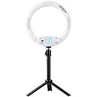 Кільцеве світло Viltrox Weeylite WE-9 RGB Live Broadcast Ring With Light 29 Lighting Effect (WE-9)