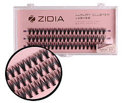 Вії накладні пучкові Zidia Cluster Lashes 30D C 0.07 Mix (3 лєнти, розмір 9/10/11 мм)