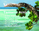 Tamanu Arnica. Заспокійливий протизапальний крем. Туба, 75 мл. GUNA (Італія), фото 7
