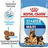 Royal Canin (Роял Канін) Maxi Starter - Сухий корм для цуценят великих порід 15 кг, фото 2