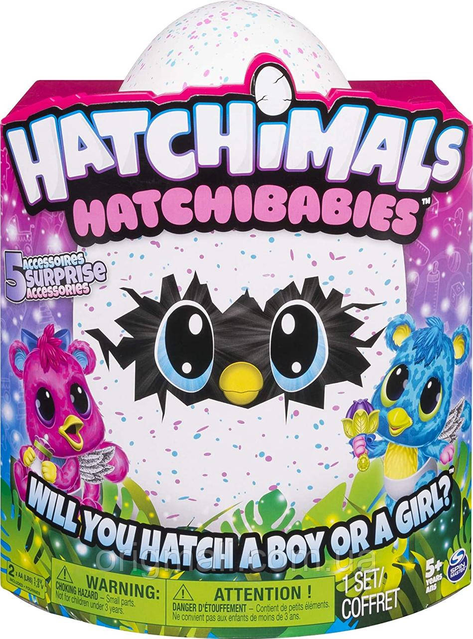 Hatchimals hotsell hatchibabies chipadee