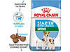 Royal Canin (Роял Канін) Mini Starter - перший твердий корм для цуценят міні порід 8 кг, фото 3