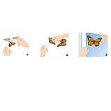 Приманка для мух Aeroxon "Метелики", 4 шт, фото 3