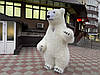 Костюм ведмедя надувний хутро 7 см, фото 3