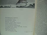 В об'єктиві птиці та звірі Карелії: Фотоальбом (б/у)., фото 5
