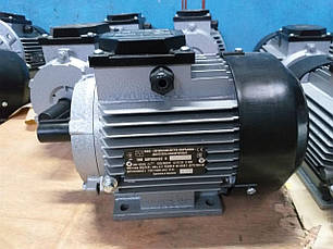 Однофазний электодвигатель RL 100S4 3/1500, фото 2