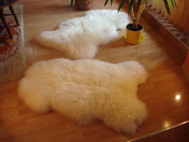 Овеча шкура новозеландська (середній ворс) 03 I Шкура вівці натуральна I Шкура барана біла I Овчина