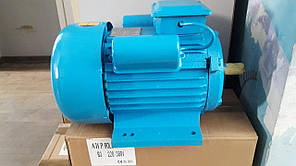 Однофазний электодвигатель RL 100L2 3/3000, фото 2