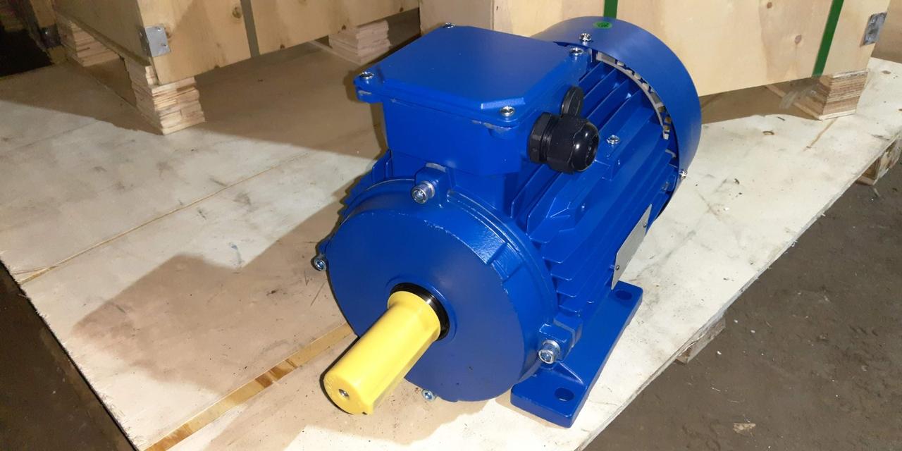 Електродвигун АИР315Ѕ8 110 кВт 750 об/хв (110/750)