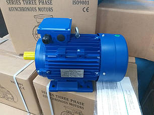 Електродвигуни загальнопромислові АИР112МВ8У2 3.0 кВт 750 об/хв ІМ 1081, фото 1