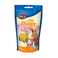 Ласощі для кроликів і морських свинок Trixie «Mini Drops» 75 г (йогурт)
