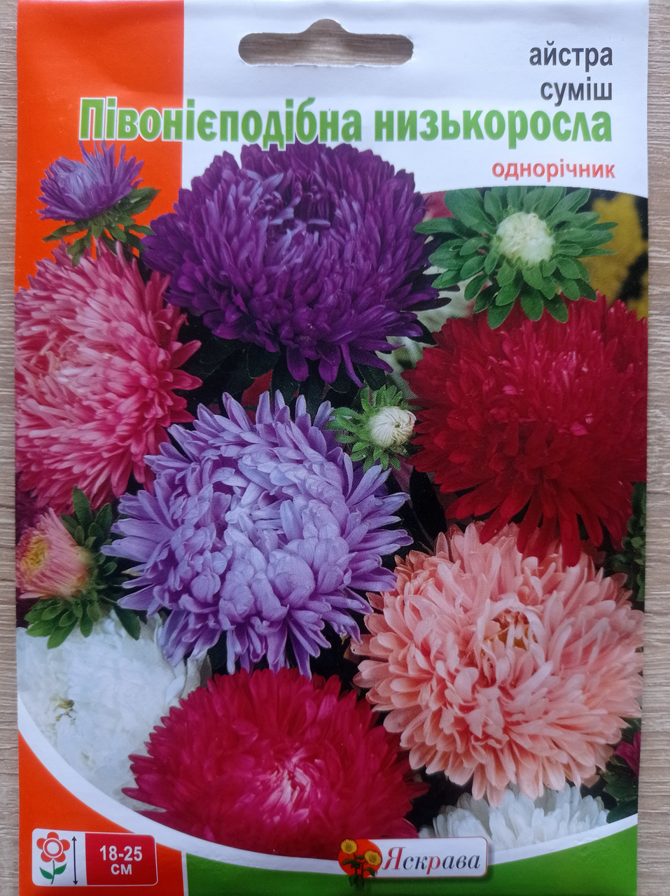 Айстра Півонієподібна низькоросла суміш 3 г, Яскрава, фото 1