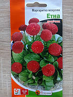 Маргаритка махрова Етна 0.1 г, Яскрава