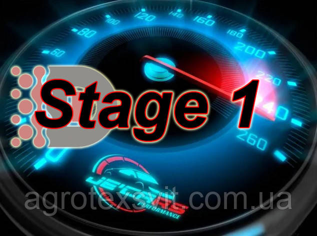 STAGE1, ЧіпТюнінг, Прошивка Euro2 Скидання Check engine, фото 1