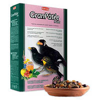 Повсякденний корм Padovan Granpatee Fruits для комахоїдних і плодоядных птахів, 1 кг