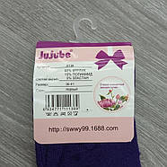 Шкарпетки жіночі махрові JUJUBE середні 36-41р. асорті 30032932, фото 7
