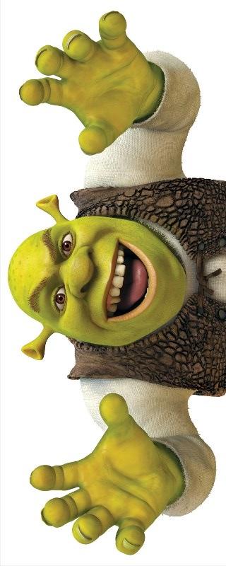 Дакимакура 150 х 50 см 1200 грн Шрек съёмная наволочка, цена 1100 грн ...