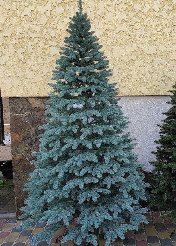 Исскуственные елки литая Премиум 2,5 м голубая Пышная ёлка Новогодняя Ель Премиум качество 250 см - фото 8 - id-p1502320799