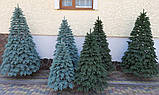 Штучні ялинки лита Швейцарська 1,5 м зелена Пишна ялинка Новорічна Ялина Преміум якість 150 см, фото 5