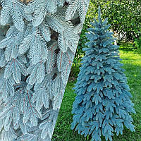 Исскуственные елки литая Швейцарская 2,3м голубая Пышная ёлка Новогодняя Ель Премиум качество 230 см