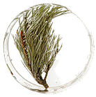 Смола епоксидна КЕ «Slab-431» вага 1,33 кг, фото 5