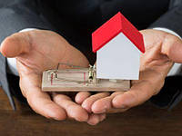 Ринок нерухомості очистять від шахраїв