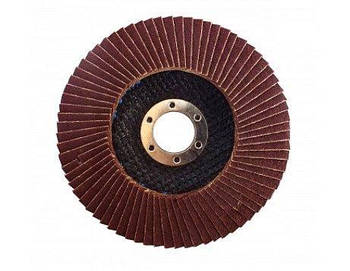 Диск пелюстковий плоский 125хх22,2 зерн. А100, Т27 WERK (WE107075) (35219)