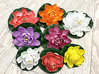 Штучний лотос (глечик для басейнів,діаметр 10 см), фото 5